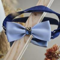 Bleu ciel eventail asiatique 