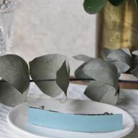 Barrette Vintages Bleu Ciel
