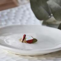 Clou d'oreille bi-color, Bordeau