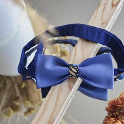 Les Gentlemen Bleuet